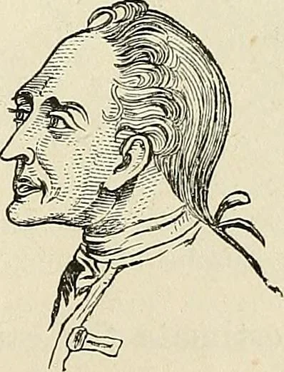 An illustration from Physiognomy illustrated; or, nature's revelations of character. A description of the mental, moral, and volitive dispositions of mankind, as manifested in the human form and countenance, 1887, leaf 240