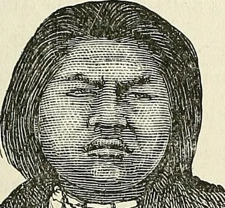An illustration from Physiognomy illustrated; or, nature's revelations of character. A description of the mental, moral, and volitive dispositions of mankind, as manifested in the human form and countenance, 1887, leaf 244