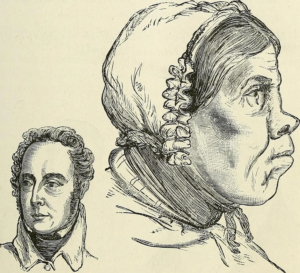 An illustration from Physiognomy illustrated; or, nature's revelations of character. A description of the mental, moral, and volitive dispositions of mankind, as manifested in the human form and countenance, 1887, leaf 256