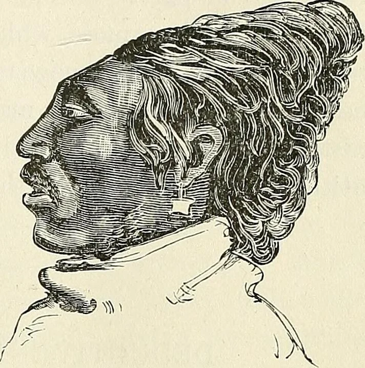 An illustration from Physiognomy illustrated; or, nature's revelations of character. A description of the mental, moral, and volitive dispositions of mankind, as manifested in the human form and countenance, 1887, leaf 274