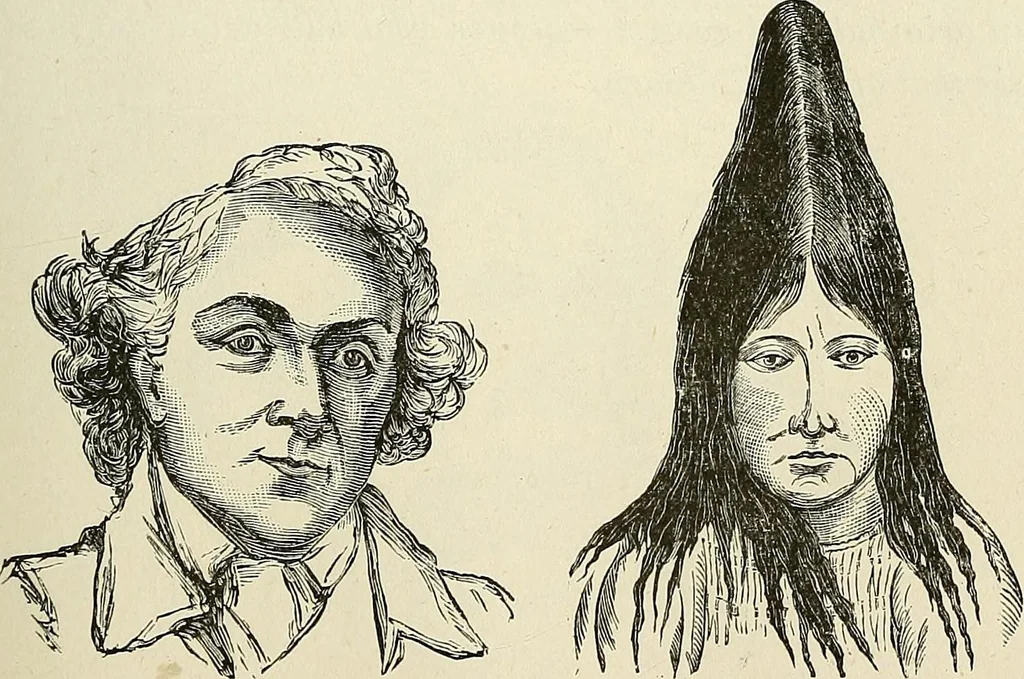 An illustration from Physiognomy illustrated; or, nature's revelations of character. A description of the mental, moral, and volitive dispositions of mankind, as manifested in the human form and countenance, 1887, leaf 274