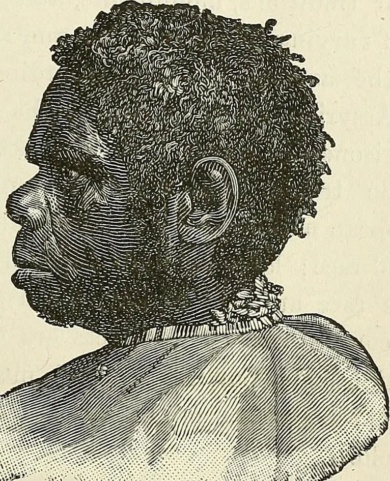 An illustration from Physiognomy illustrated; or, nature's revelations of character. A description of the mental, moral, and volitive dispositions of mankind, as manifested in the human form and countenance, 1887, leaf 290
