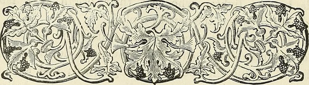 An illustration from Physiognomy illustrated; or, nature's revelations of character. A description of the mental, moral, and volitive dispositions of mankind, as manifested in the human form and countenance, 1887, leaf 299