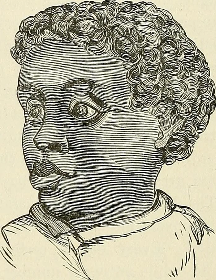 An illustration from Physiognomy illustrated; or, nature's revelations of character. A description of the mental, moral, and volitive dispositions of mankind, as manifested in the human form and countenance, 1887, leaf 311