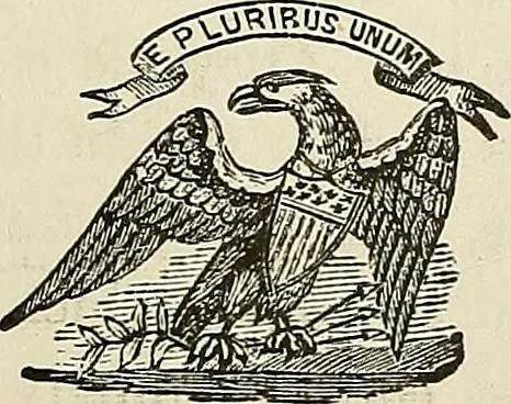 An illustration from Physiognomy illustrated; or, nature's revelations of character. A description of the mental, moral, and volitive dispositions of mankind, as manifested in the human form and countenance, 1887, leaf 330