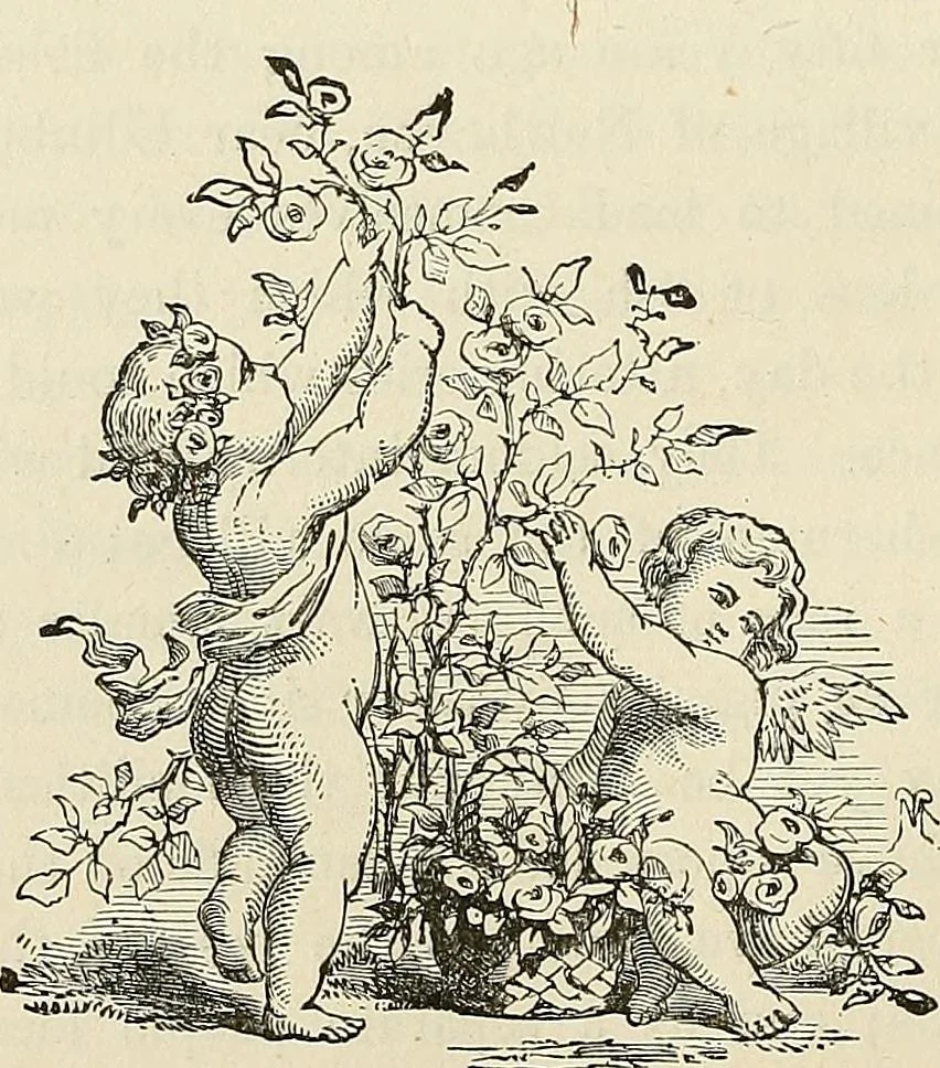 An illustration from Physiognomy illustrated; or, nature's revelations of character. A description of the mental, moral, and volitive dispositions of mankind, as manifested in the human form and countenance, 1887, leaf 367