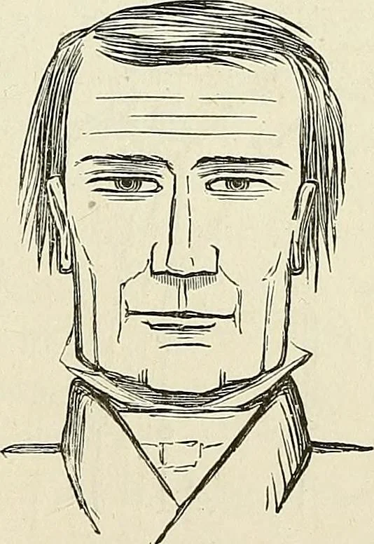 An illustration from Physiognomy illustrated; or, nature's revelations of character. A description of the mental, moral, and volitive dispositions of mankind, as manifested in the human form and countenance, 1887, leaf 388