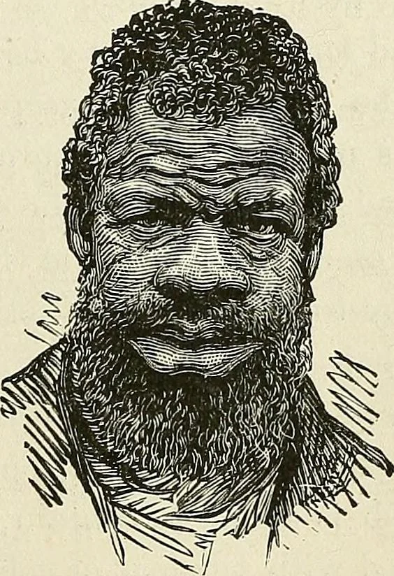 An illustration from Physiognomy illustrated; or, nature's revelations of character. A description of the mental, moral, and volitive dispositions of mankind, as manifested in the human form and countenance, 1887, leaf 428