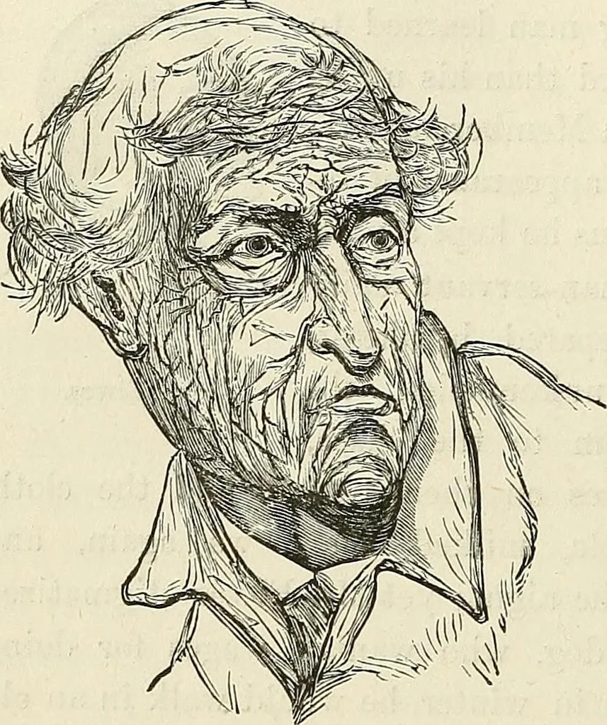 An illustration from Physiognomy illustrated; or, nature's revelations of character. A description of the mental, moral, and volitive dispositions of mankind, as manifested in the human form and countenance, 1887, leaf 449