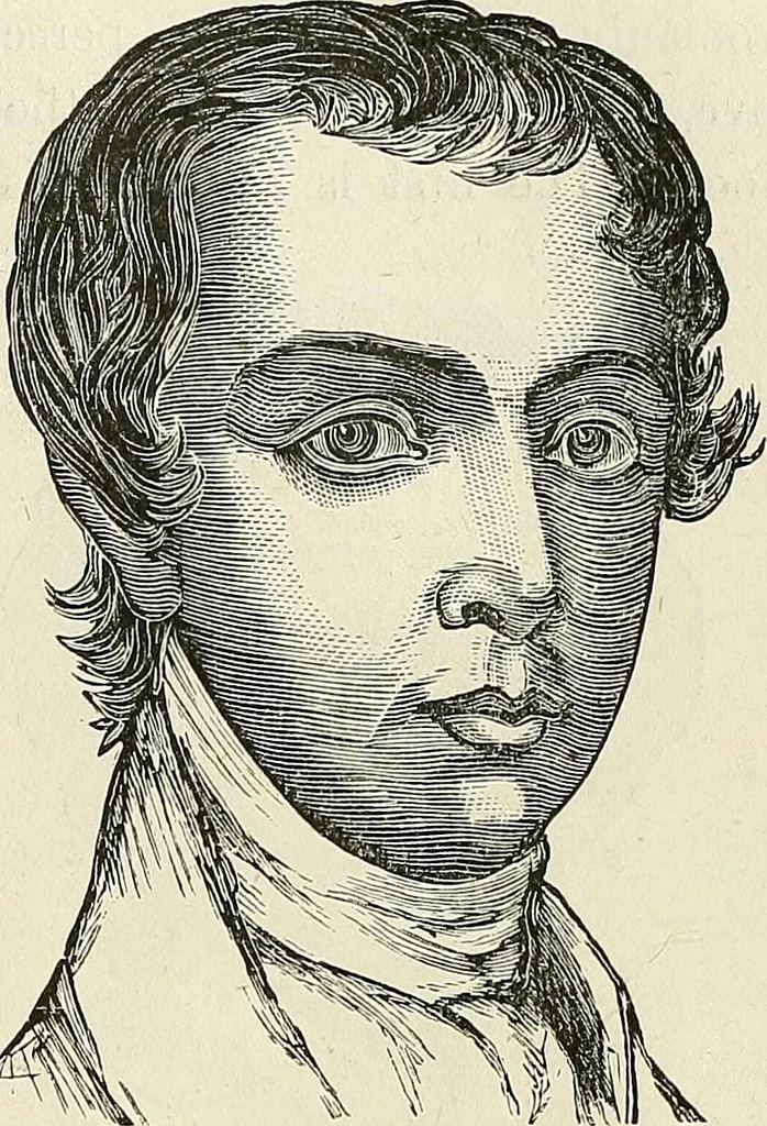 An illustration from Physiognomy illustrated; or, nature's revelations of character. A description of the mental, moral, and volitive dispositions of mankind, as manifested in the human form and countenance, 1887, leaf 464