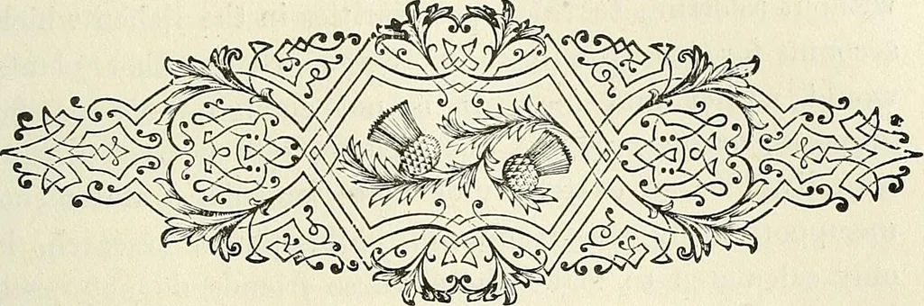 An illustration from Physiognomy illustrated; or, nature's revelations of character. A description of the mental, moral, and volitive dispositions of mankind, as manifested in the human form and countenance, 1887, leaf 494