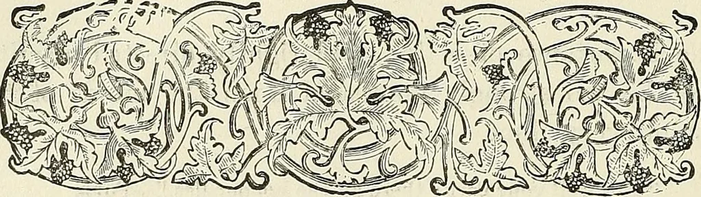 An illustration from Physiognomy illustrated; or, nature's revelations of character. A description of the mental, moral, and volitive dispositions of mankind, as manifested in the human form and countenance, 1887, leaf 519