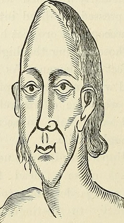 An illustration from Physiognomy illustrated; or, nature's revelations of character. A description of the mental, moral, and volitive dispositions of mankind, as manifested in the human form and countenance, 1887, leaf 537