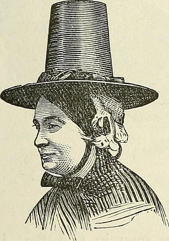 An illustration from Physiognomy illustrated; or, nature's revelations of character. A description of the mental, moral, and volitive dispositions of mankind, as manifested in the human form and countenance, 1887, leaf 538
