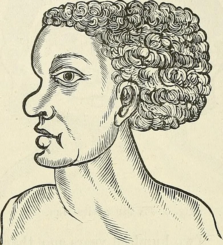 An illustration from Physiognomy illustrated; or, nature's revelations of character. A description of the mental, moral, and volitive dispositions of mankind, as manifested in the human form and countenance, 1887, leaf 538