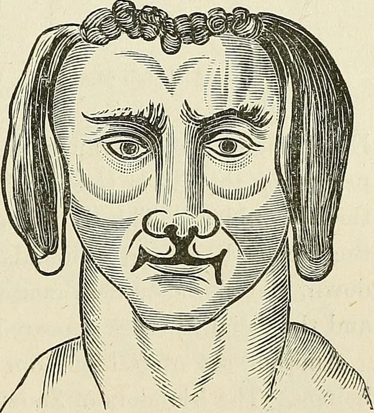 An illustration from Physiognomy illustrated; or, nature's revelations of character. A description of the mental, moral, and volitive dispositions of mankind, as manifested in the human form and countenance, 1887, leaf 540