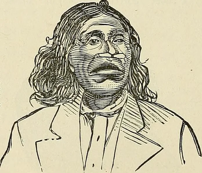 An illustration from Physiognomy illustrated; or, nature's revelations of character. A description of the mental, moral, and volitive dispositions of mankind, as manifested in the human form and countenance, 1887, leaf 543