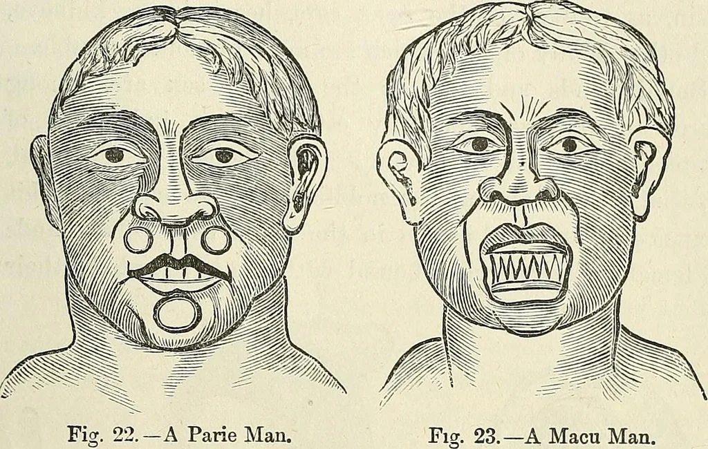 An illustration from Physiognomy illustrated; or, nature's revelations of character. A description of the mental, moral, and volitive dispositions of mankind, as manifested in the human form and countenance, 1887, leaf 546