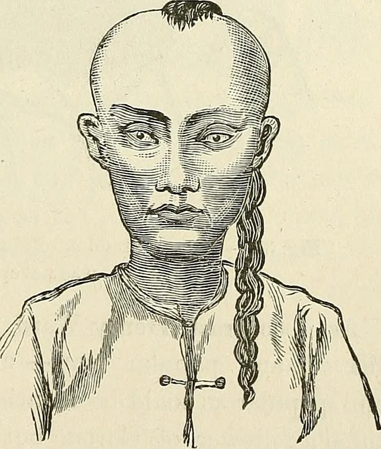 An illustration from Physiognomy illustrated; or, nature's revelations of character. A description of the mental, moral, and volitive dispositions of mankind, as manifested in the human form and countenance, 1887, leaf 552