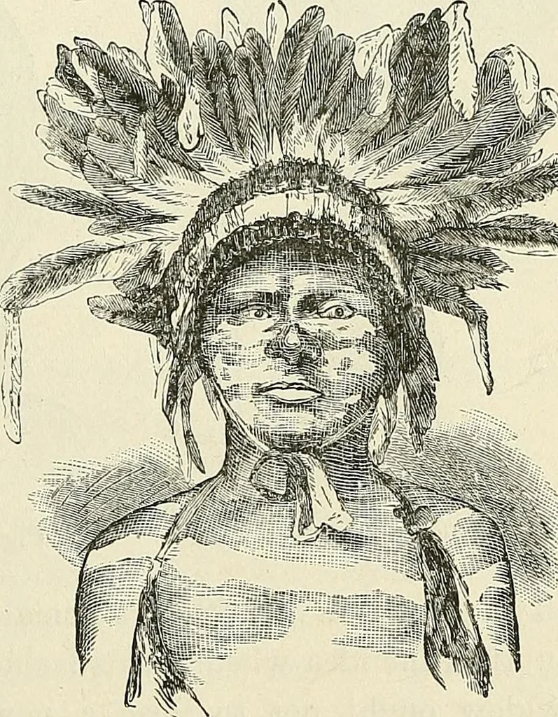 An illustration from Physiognomy illustrated; or, nature's revelations of character. A description of the mental, moral, and volitive dispositions of mankind, as manifested in the human form and countenance, 1887, leaf 558