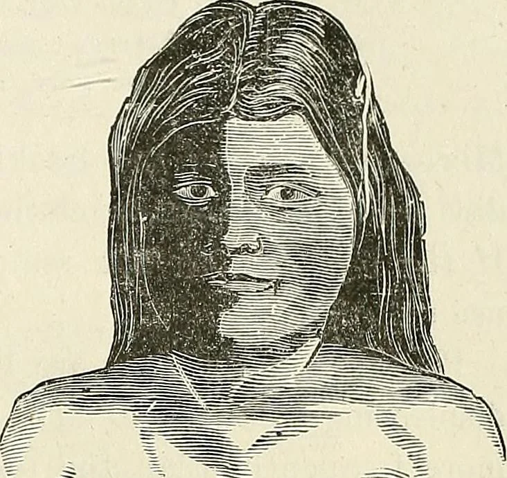 An illustration from Physiognomy illustrated; or, nature's revelations of character. A description of the mental, moral, and volitive dispositions of mankind, as manifested in the human form and countenance, 1887, leaf 560