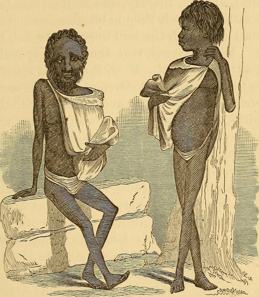 An illustration from Physiognomy. A practical and scientific treatise, 1881, leaf 262