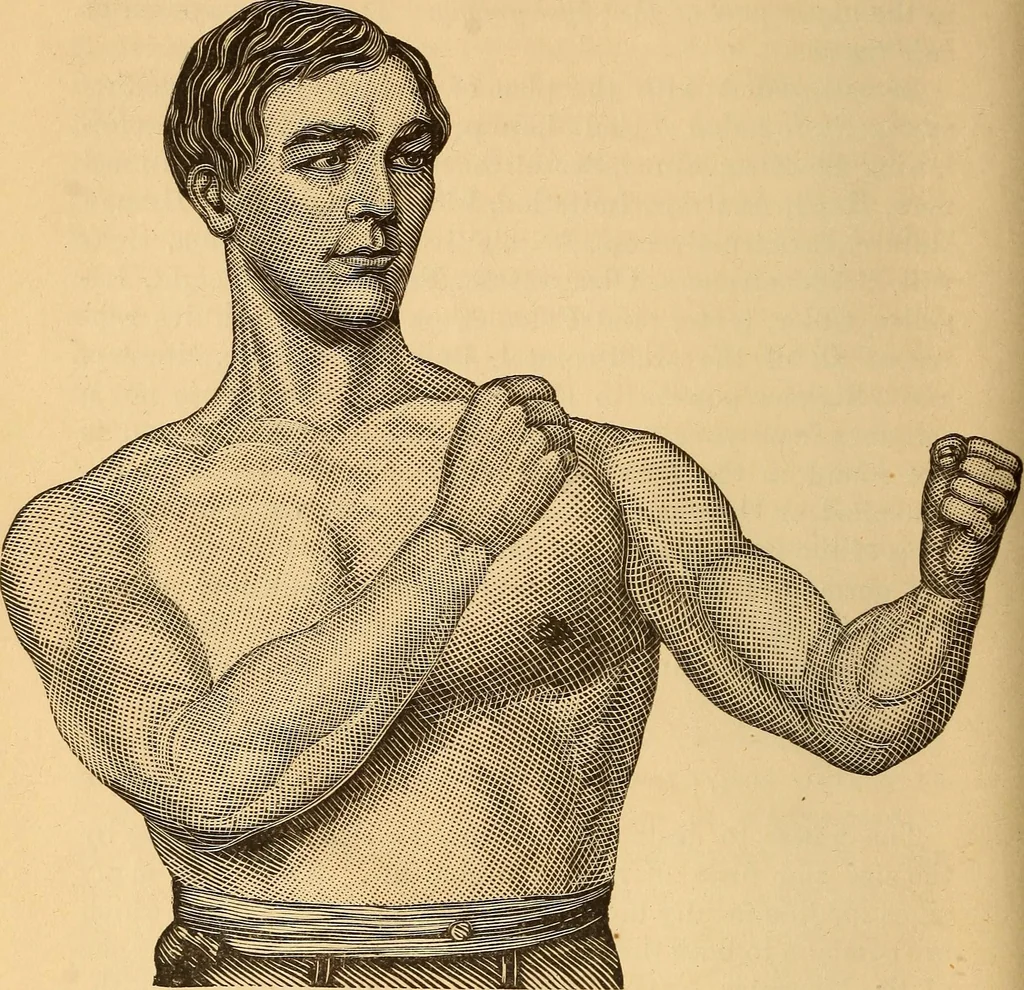 An illustration from Physiognomy. A practical and scientific treatise, 1881, leaf 87