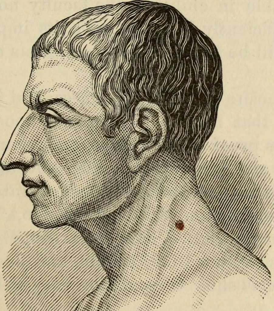 An illustration from Physiognomy : A practical and scientific treatise. Being a manual of instruction in the knowledge of the human physiognomy and organism, considered chemically, architecturally, and mathematically; embracing the discoveries of located traits, with their relative organs and signs of character, together with the three grand natural divisions of the human face, 1881, leaf 106