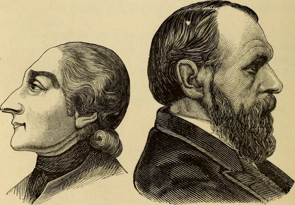 An illustration from Physiognomy : A practical and scientific treatise. Being a manual of instruction in the knowledge of the human physiognomy and organism, considered chemically, architecturally, and mathematically; embracing the discoveries of located traits, with their relative organs and signs of character, together with the three grand natural divisions of the human face, 1881, leaf 13
