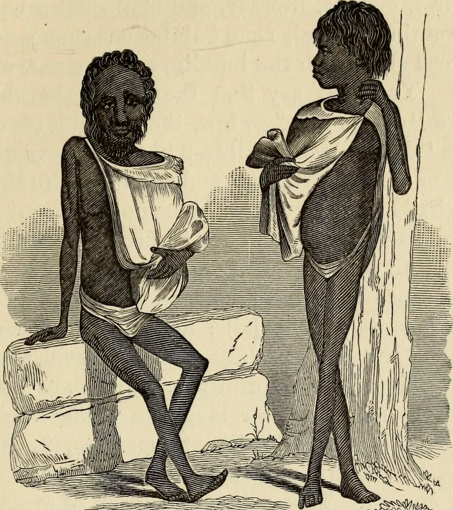 An illustration from Physiognomy : A practical and scientific treatise. Being a manual of instruction in the knowledge of the human physiognomy and organism, considered chemically, architecturally, and mathematically; embracing the discoveries of located traits, with their relative organs and signs of character, together with the three grand natural divisions of the human face, 1881, leaf 260