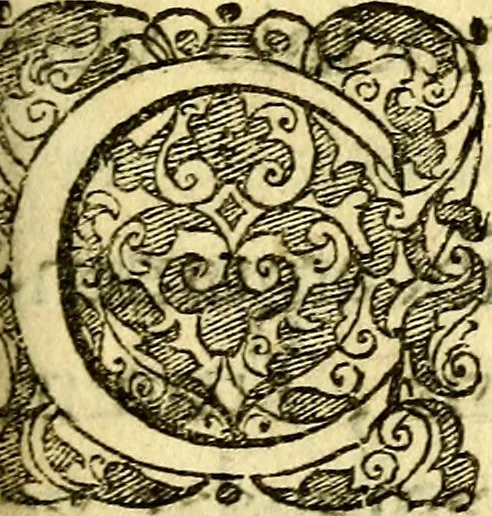 An illustration from Pia desideria : emblematis elegiis & affectibus SS. Patrvm illustrata, 1624, leaf 10