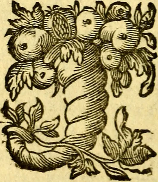 An illustration from Pia desideria : emblematis elegiis & affectibus SS. Patrvm illustrata, 1624, leaf 173