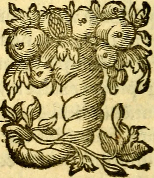 An illustration from Pia desideria : emblematis elegiis & affectibus SS. Patrvm illustrata, 1624, leaf 235