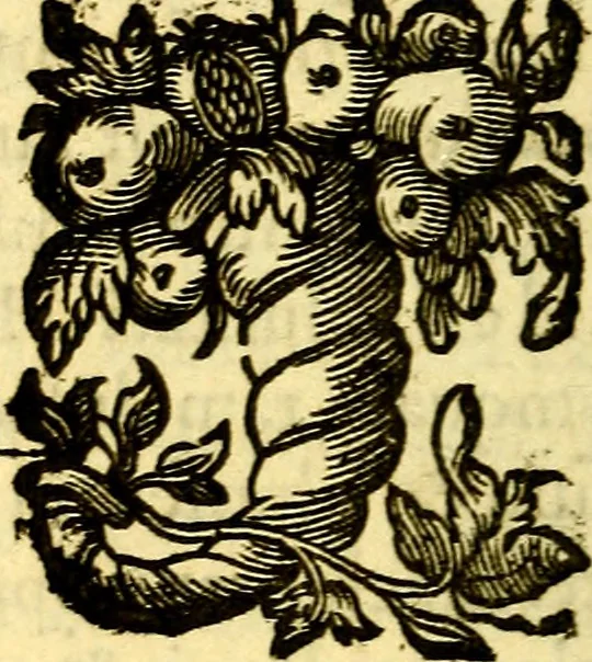 An illustration from Pia desideria : emblematis elegiis & affectibus SS. Patrvm illustrata, 1624, leaf 289