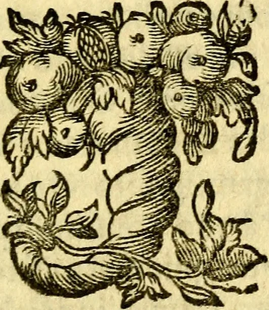 An illustration from Pia desideria : emblematis elegiis & affectibus SS. Patrvm illustrata, 1624, leaf 308