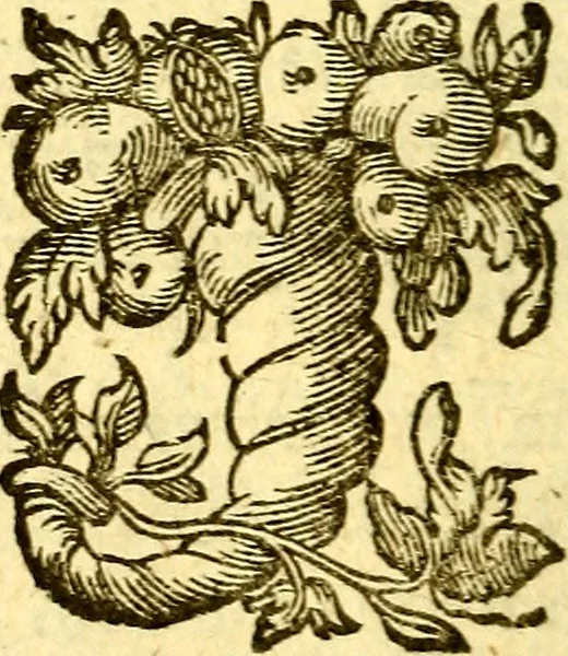 An illustration from Pia desideria : emblematis elegiis & affectibus SS. Patrvm illustrata, 1624, leaf 471