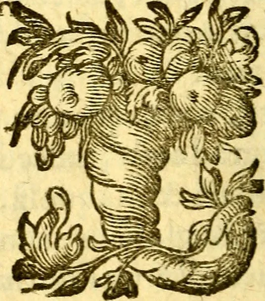 An illustration from Pia desideria : emblematis elegiis & affectibus SS. Patrvm illustrata, 1624, leaf 483