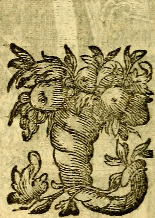 An illustration from Pia desideria : emblematis elegiis & affectibus SS. Patrvm illustrata, 1624, leaf 69