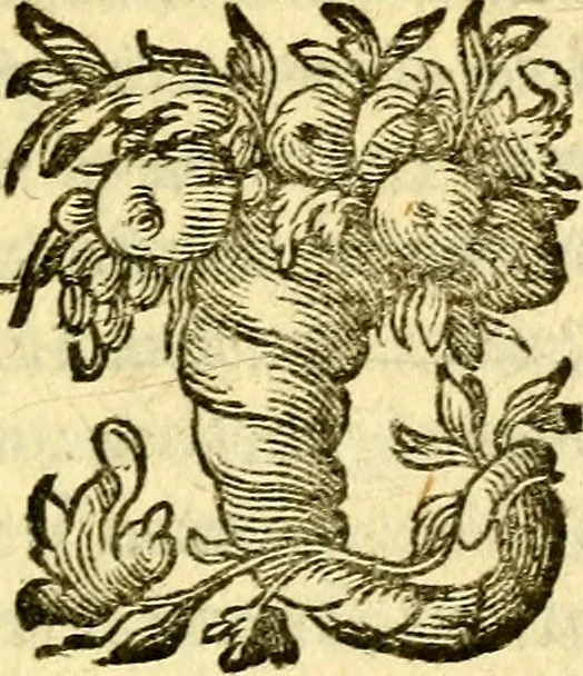 An illustration from Pia desideria : emblematis elegiis & affectibus SS. Patrvm illustrata, 1624, leaf 84