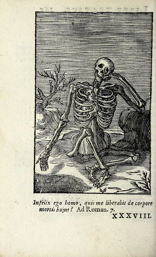 An illustration from Pia desideria : emblematis, elegiis & affectibus SS. Patrum illustrata, 1628, leaf 404