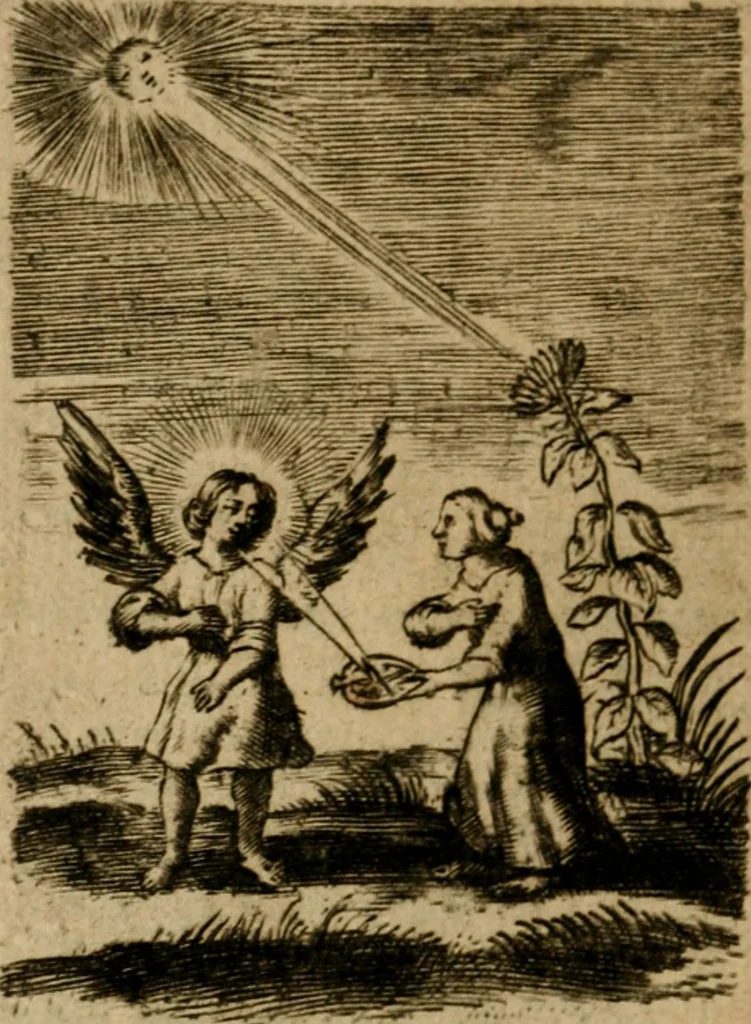 An illustration from Pia desideria, 1670, leaf 161