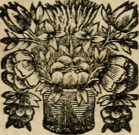 An illustration from Pia desideria, 1670, leaf 30