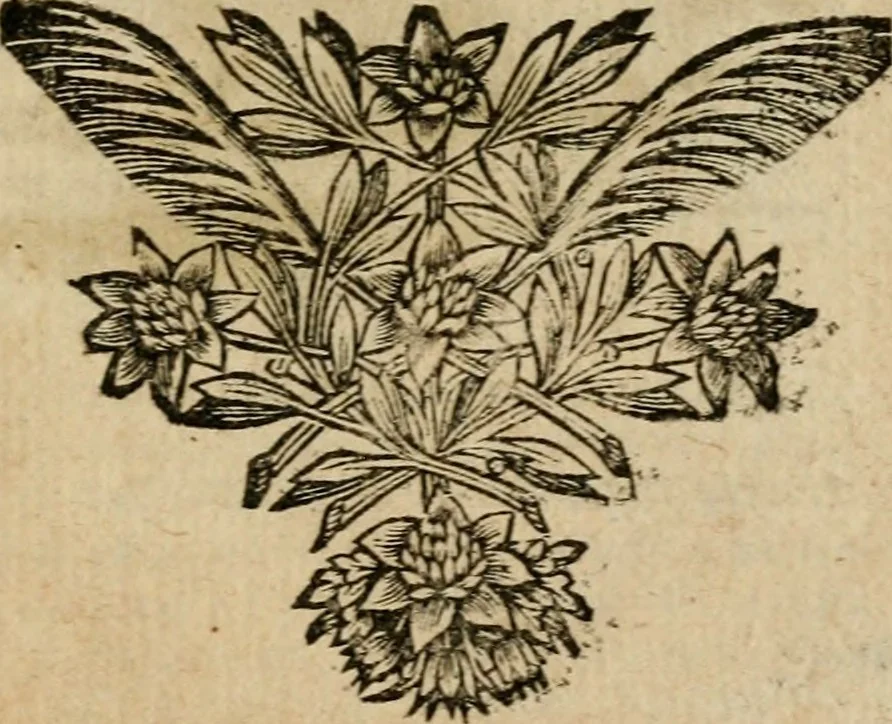 An illustration from Pia desideria, 1670, leaf 50