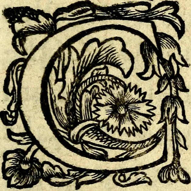 An illustration from Pia desideria. : lib. iii. ad Urbanum VIII., 1632, leaf 8