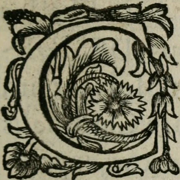An illustration from Pia desideria. : Lib. iii. ad Vrbanvm VIII., 1632, leaf 10