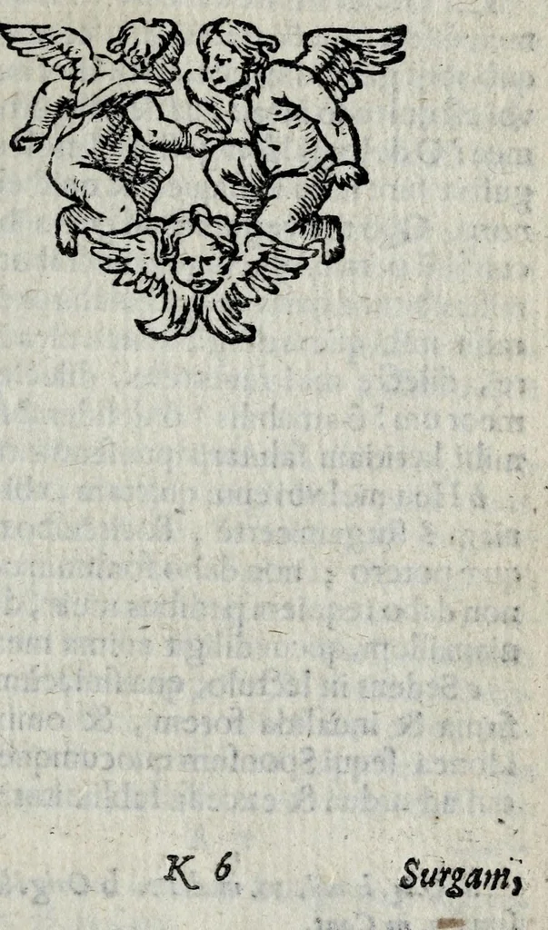An illustration from Pia desideria : tribus libris comprehensa ..., 1676, leaf 253