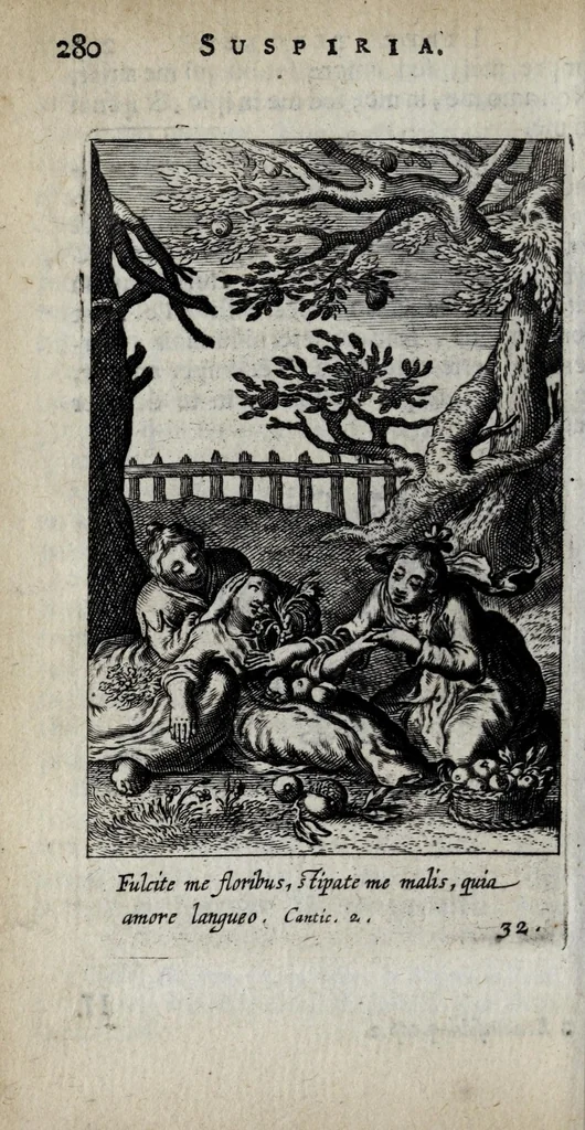 An illustration from Pia desideria : tribus libris comprehensa ..., 1676, leaf 310