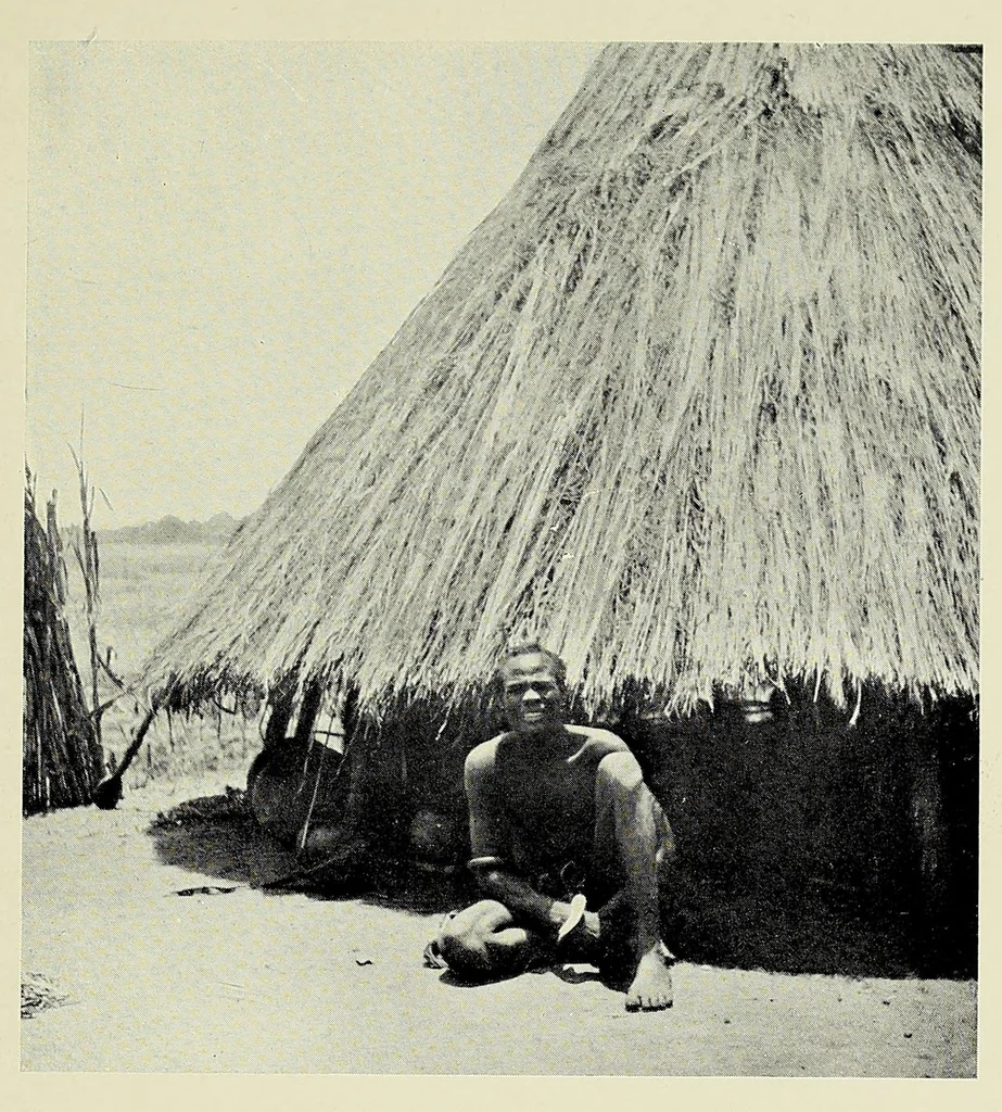 An illustration from A picnic party in wildest Africa : being a sketch of a winter's trip to some of the unknown waters of the upper Nile, 1907, leaf 113