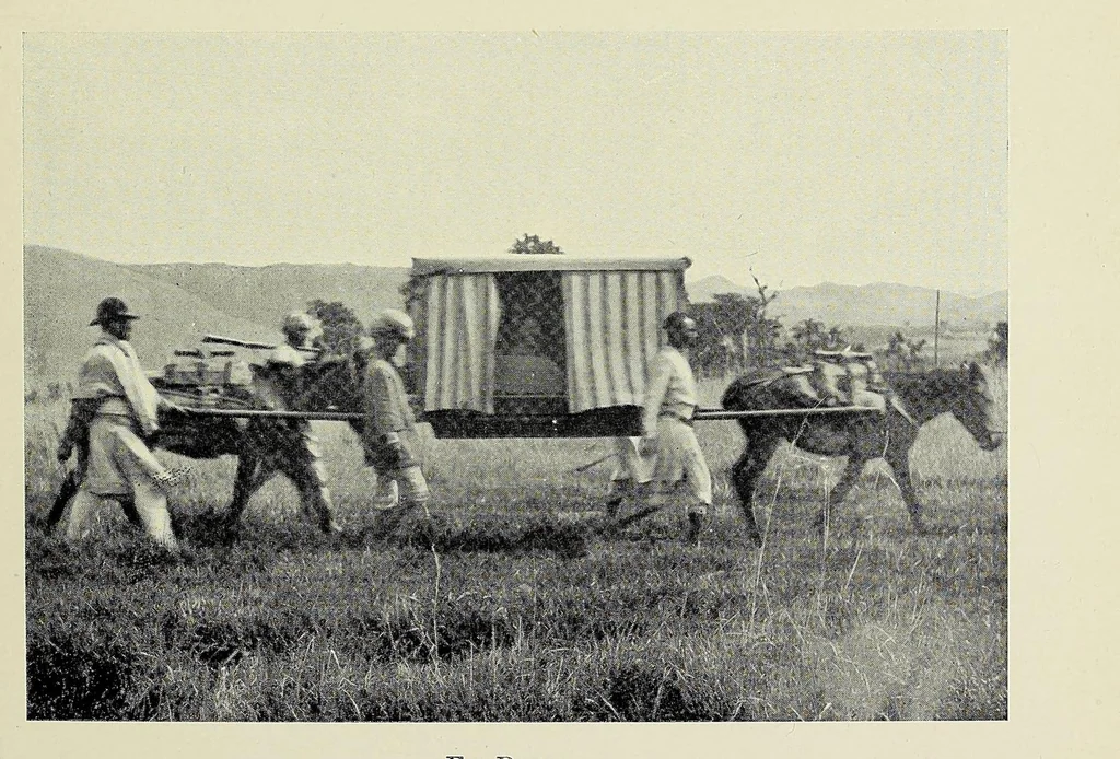 An illustration from A picnic party in wildest Africa : being a sketch of a winter's trip to some of the unknown waters of the upper Nile, 1907, leaf 123