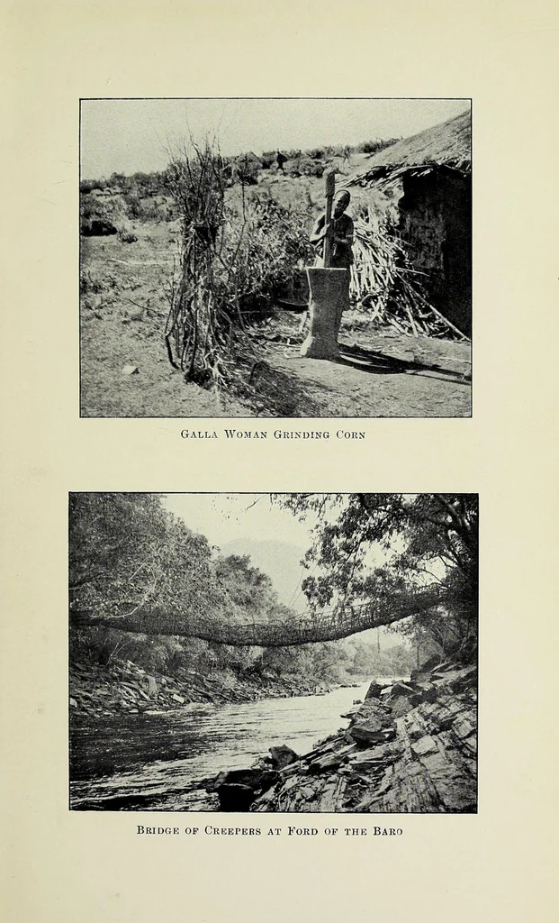 An illustration from A picnic party in wildest Africa : being a sketch of a winter's trip to some of the unknown waters of the upper Nile, 1907, leaf 129